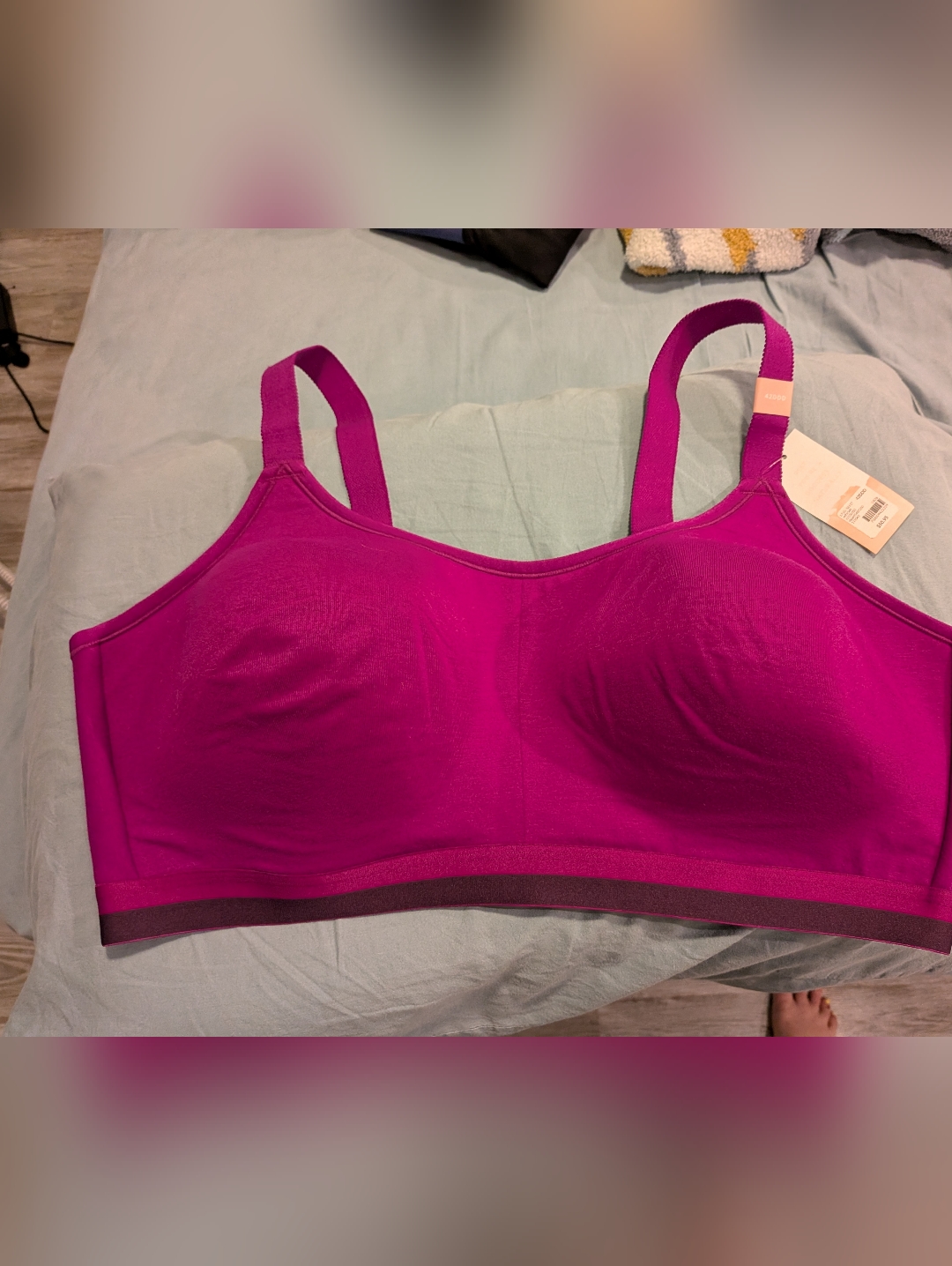 Cacique Wireless Scoop Bra - Magenta